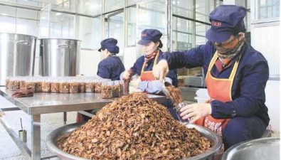 云南陆良县：食用菌综合产值达20.8亿元