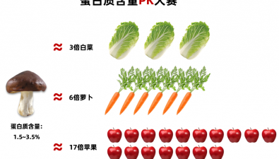 食用菌的蛋白質含量PK