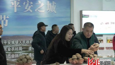 河北遵化：举办首届香菇节