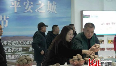河北遵化：舉辦首屆香菇節(jié)