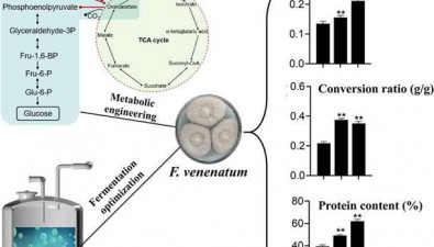 天工所团队利用工程化菌株实现可食用菌蛋白的高效合成