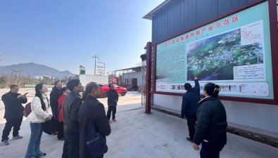 桂林民革農科支部積極開展食用菌調研