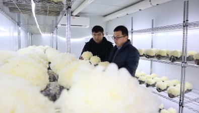“小蘑菇”吹空調、喝純凈水、5G技術管控，有大前景
