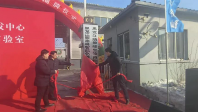 黑龍江東寧：黑木耳變“致富耳” 年均栽培規(guī)模達(dá)9億袋