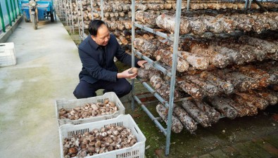 康田生物：年辐射带动生产食用菌5000万袋