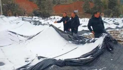 福建武平縣：食用菌專家指導雪后恢復工作