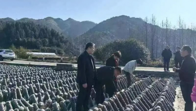 黃山學(xué)院院長一行調(diào)研指導(dǎo)食用菌產(chǎn)業(yè)發(fā)展