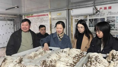 福建福州：科协调研罗源食用菌科技小院