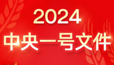 一图读懂丨2024年中央一号文件