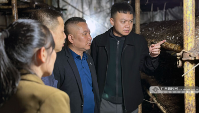 廣西梧州：“公司+村集體經(jīng)濟(jì)合作社+農(nóng)戶”模式種蘭花菇