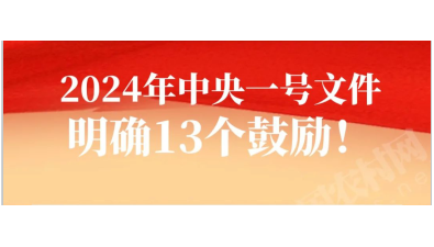 2024年中央一號文件明確13個鼓勵！