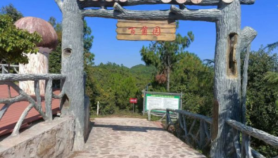 云南南華：堅持保育促繁，守護“菌源頭”