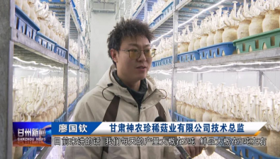 野生扁麻菇工厂化驯化栽培获得成功，实现批量生产