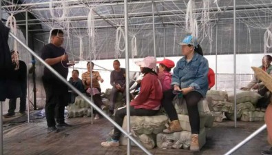 陜西柞水：金米村“3金2耳”模式，發展木耳1700萬袋