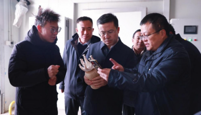 甘肃张掖市甘州区领导调研神农珍稀菇业