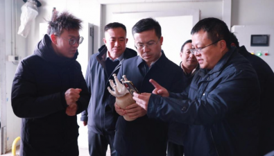 甘肅張掖市甘州區領導調研神農珍稀菇業