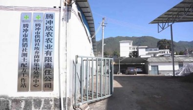 云南騰沖：廢棄菌棒“變廢為寶”，怎么做到的？