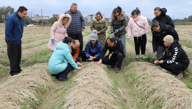 广西食用菌专家开展“防寒、防冻、保春耕”技术服务行动