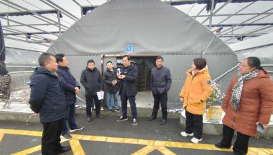 國家食用菌產業技術體系專家開展食用菌防低溫雨雪應急服務