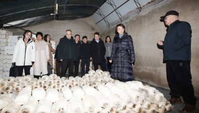 北京大興區：調研“百村示范、千村振興”工程