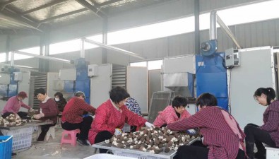 利陽農業：預計今年食用菌銷售產值將達5000萬