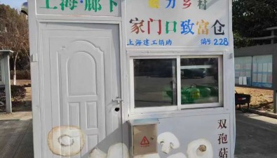 上海金山區：廊下鎮食用菌年產值達2.35億元