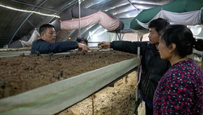 【菌業(yè)聲音】全國人大代表馬化彬：支持“菌菜”輪作，助力產(chǎn)業(yè)綠色低碳發(fā)展