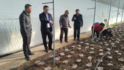 北京綜合試驗站赴大興基地調研指導