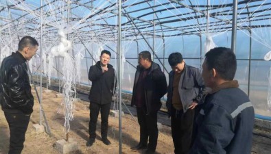 內蒙古赤峰：金廠溝梁鎮抓實動早發展食用菌特色產業