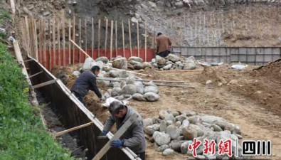 四川青川：加速建设食用菌基地