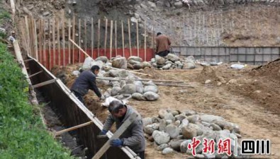 四川青川：加速建設(shè)食用菌基地