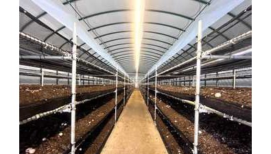 金蓀生物：用科技創新助推農業現代化