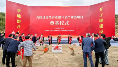 福建古田：晟茂農(nóng)業(yè)銀耳全產(chǎn)業(yè)鏈項目開創(chuàng)好“錢”景