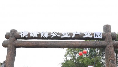江西廬山：農(nóng)業(yè)產(chǎn)業(yè)園打造食用菌產(chǎn)業(yè)鏈