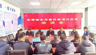 甘肅隴南武都區(qū)洛塘鎮(zhèn)招商引資簽約食用菌種植項(xiàng)目