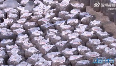 天順康豐合作社：蘑菇大棚“種”出幸福生活