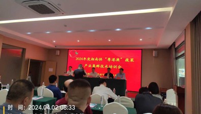 2024年度湘南供“粤港澳”蔬菜产业集群技术培训与观摩会举行