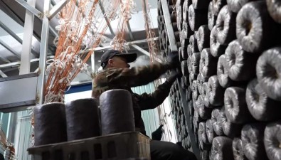 内蒙古鄂伦春：一季度生产完成食用菌三级菌包2528万包
