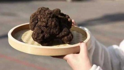 每公斤上千元的頂奢食材是四川特產(chǎn)
