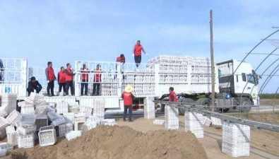甘肅合水縣：段家集鄉三處食用菌基地建成菌棚165座
