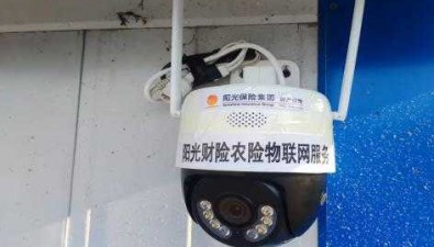 陽光財險：科技賦能防災減災，做實風險減量