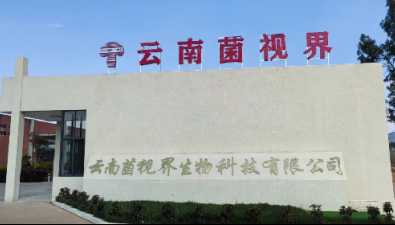 祝賀！云南菌視界在市級企業技術中心年度評價中獲評優秀