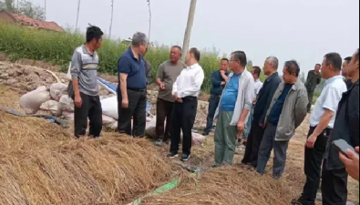 食用菌与水稻体系牵手共建“定区轮作改土”模式落户范县