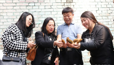 山西農大食用菌研究團隊制定羊肚菌栽培技術規(guī)程