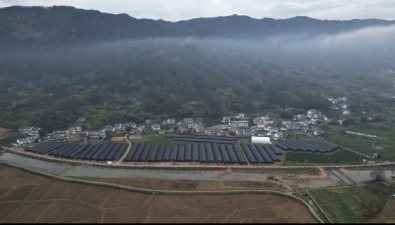 潛山市羊肚菌入選“全國名特優新農產品”名錄