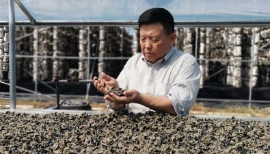 中國工程院院士李玉：以科技鑄就食用菌致富夢
