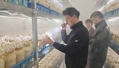 甘肃张掖：智能化栽培助力神农珍稀菇业腾飞