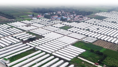 预计到2026年，河南清丰产业园总产值达70.8亿元