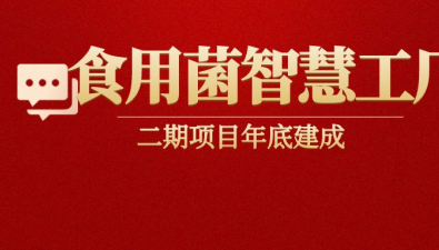 年产值2亿元！重庆巴南食用菌智慧工厂二期项目年底建成