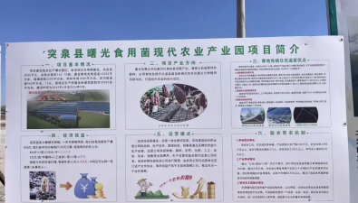 投資2000萬元，食用菌現(xiàn)代農(nóng)業(yè)產(chǎn)業(yè)園開工，預(yù)計(jì)10月底投產(chǎn)